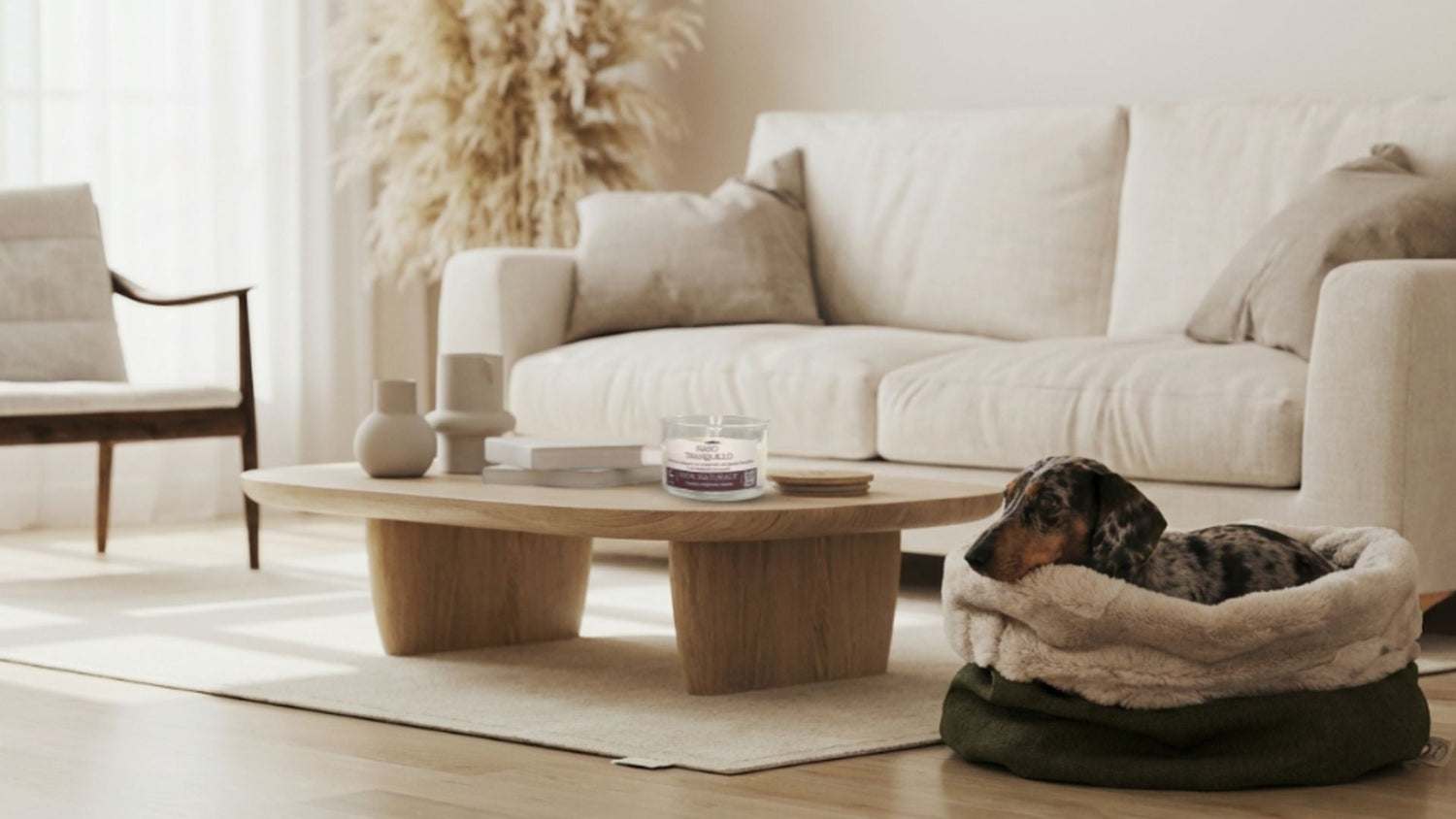 Dachshound laying in Nuvola Marchesa Cloud Pouch Dog Bed oin a modern living room