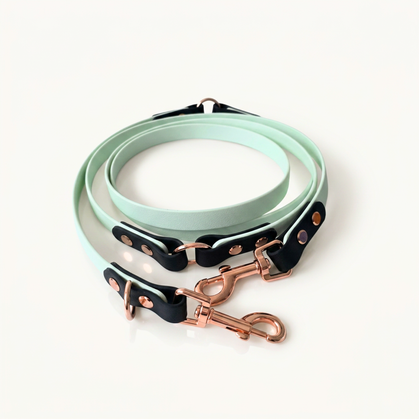 Dress Code, Leash - Flexi