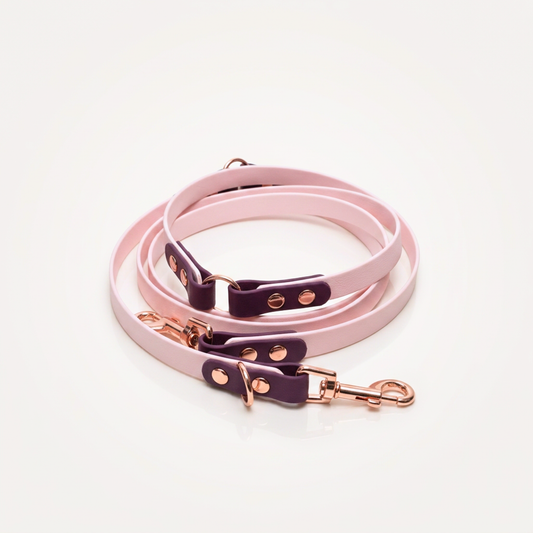 Dress Code, Leash - Flexi