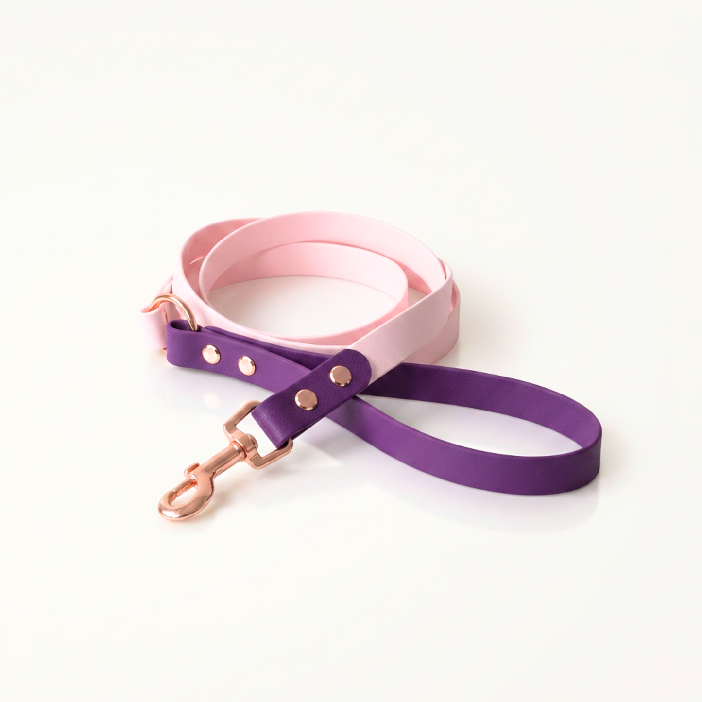 Dress Code, Leash - Lead