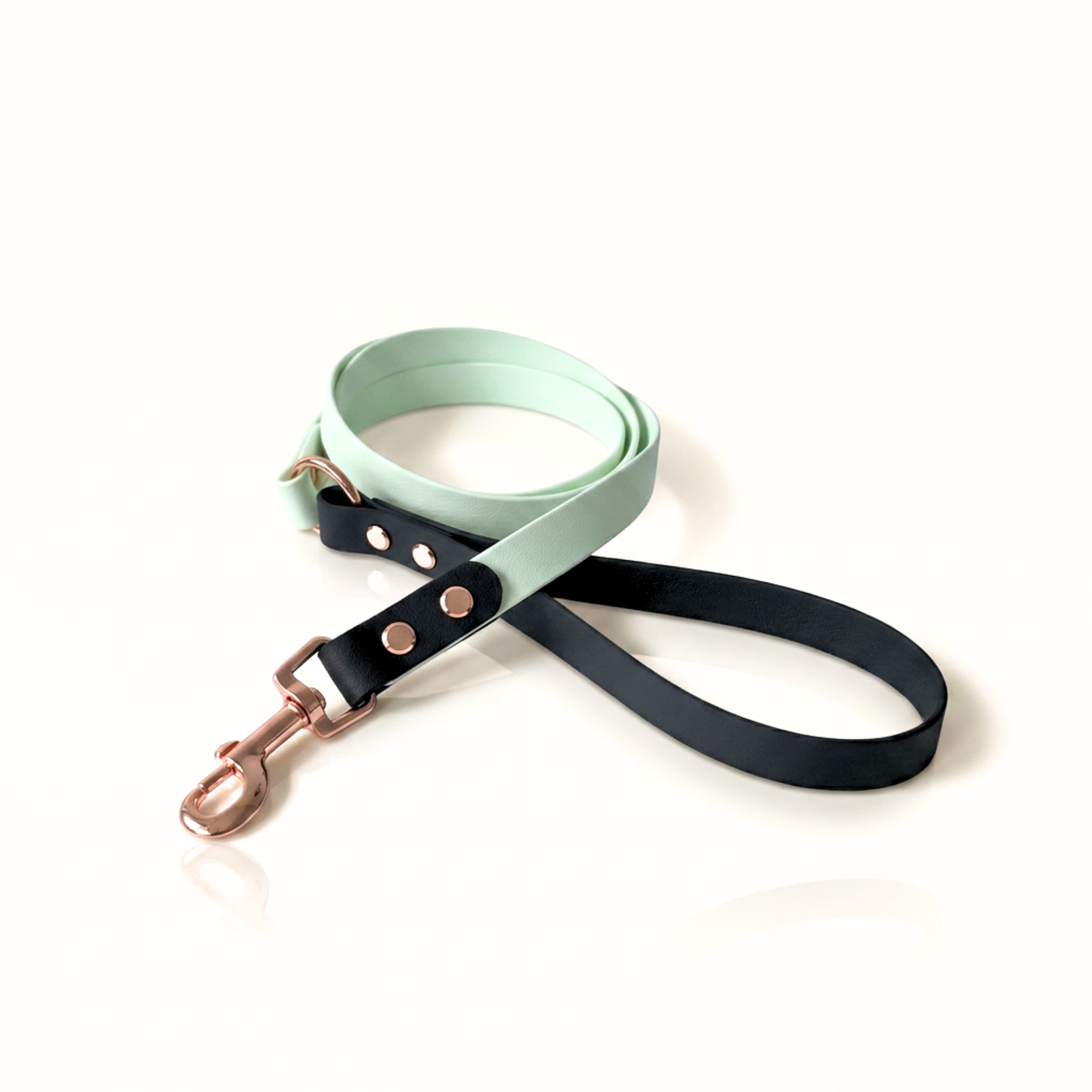 Dress Code, Leash - Lead
