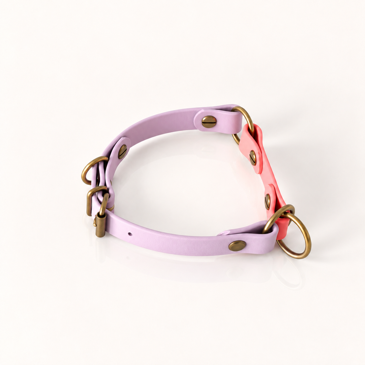Coral: H.O.D.A. EDGE BioThane® martingale dog collar in Coral with soft lilac detail and antique brass hardware.