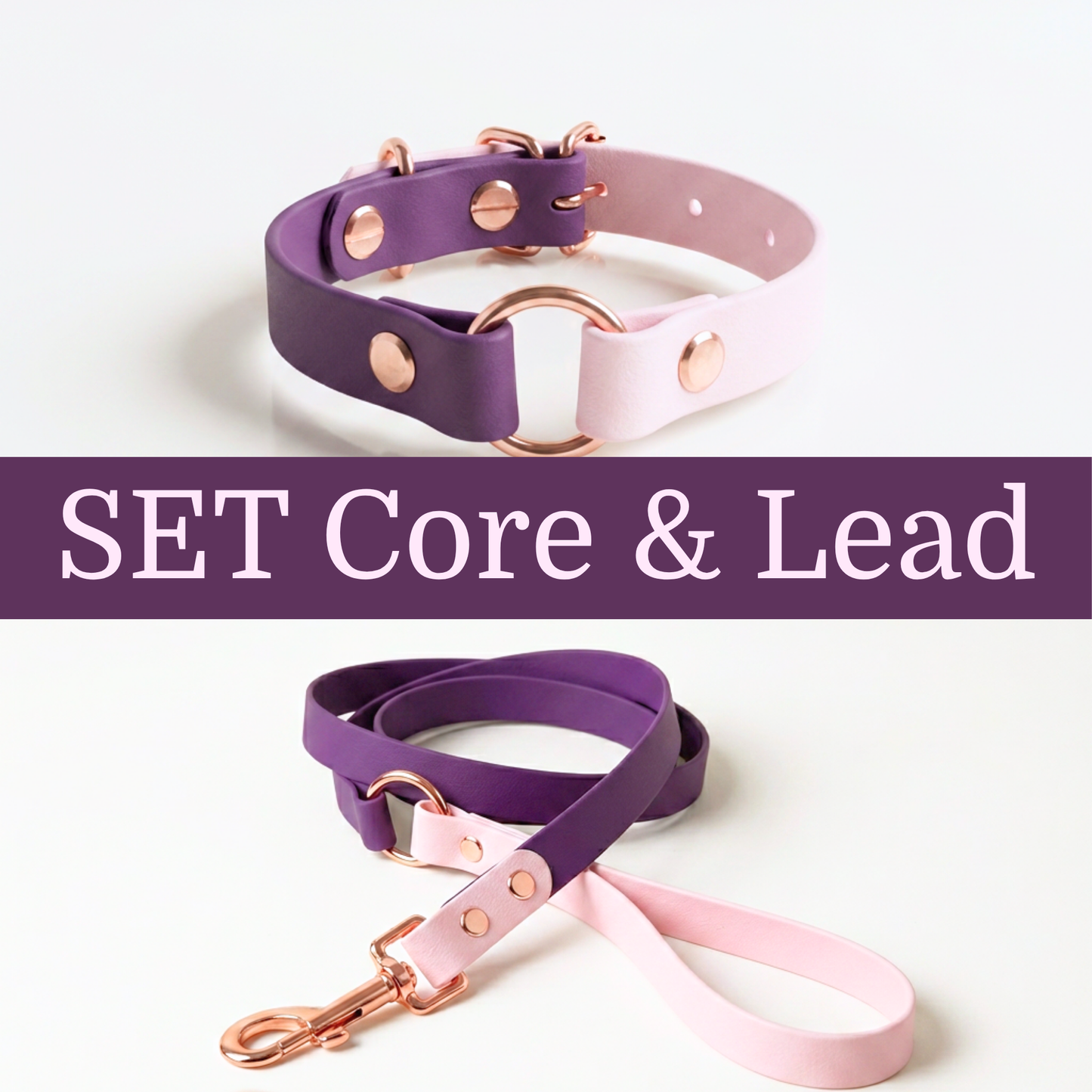 SET Core+Lead