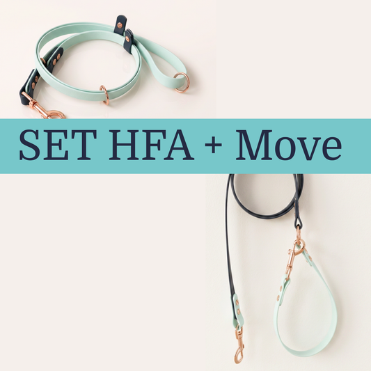 Dress Code SET Hands-Free Adapter+Move Leash