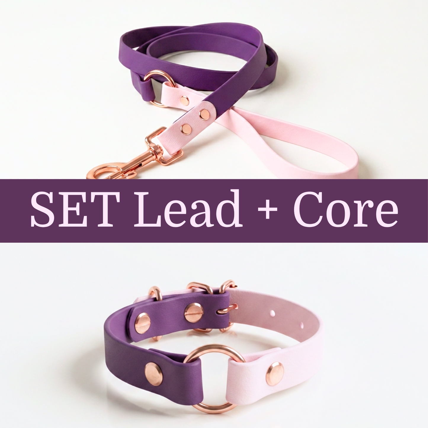 Dress Code Lead + Core