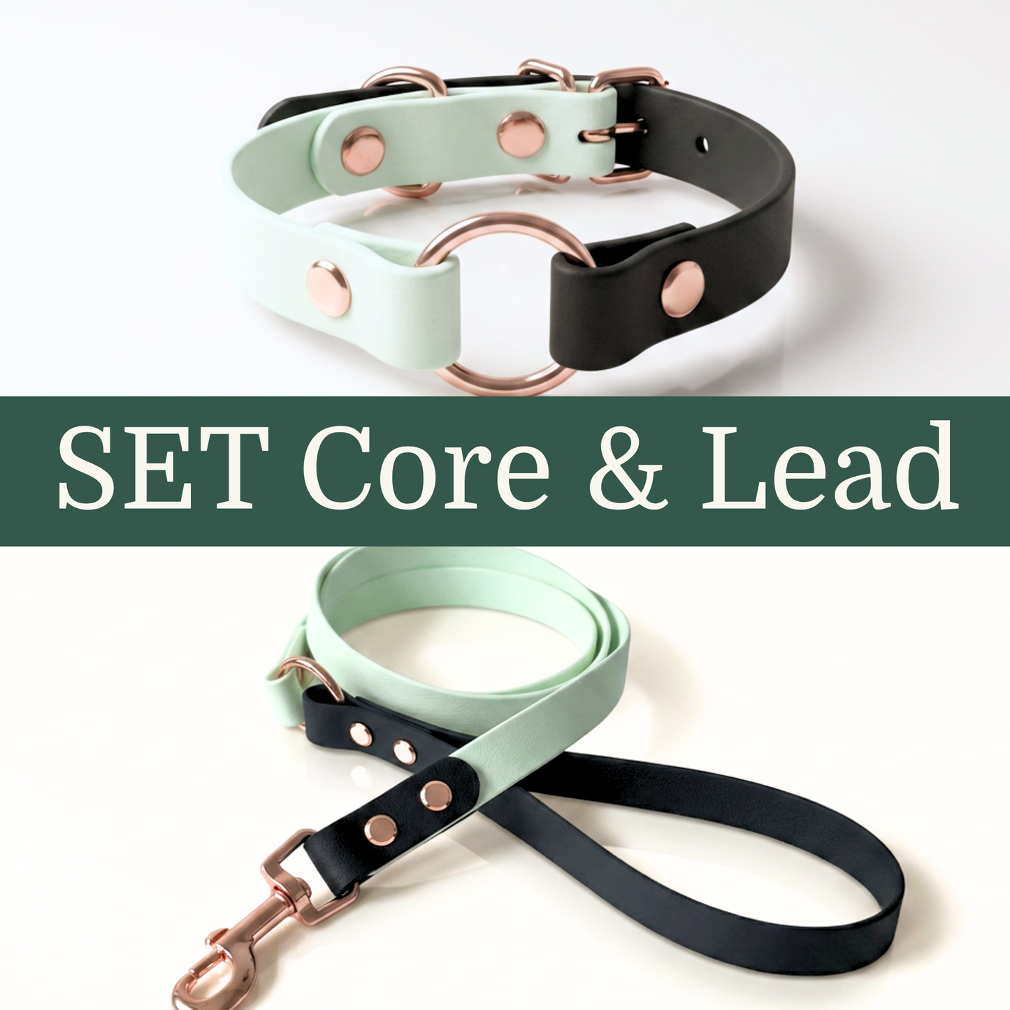SET Core+Lead