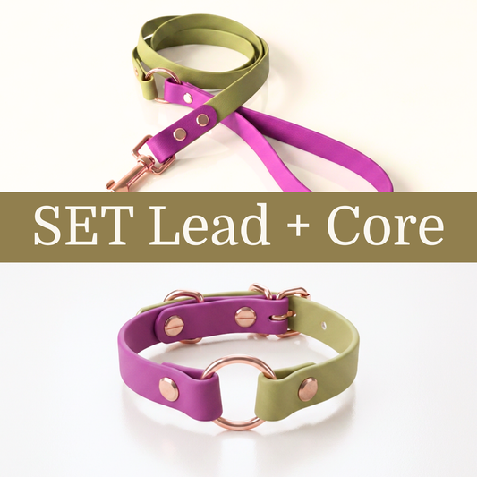 Dress Code Lead + Core