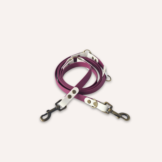 BioThane® original waterproof material, a purple leather dog leash with silver-toned metal hardware and black swivel clips, coiled on a light cream background.