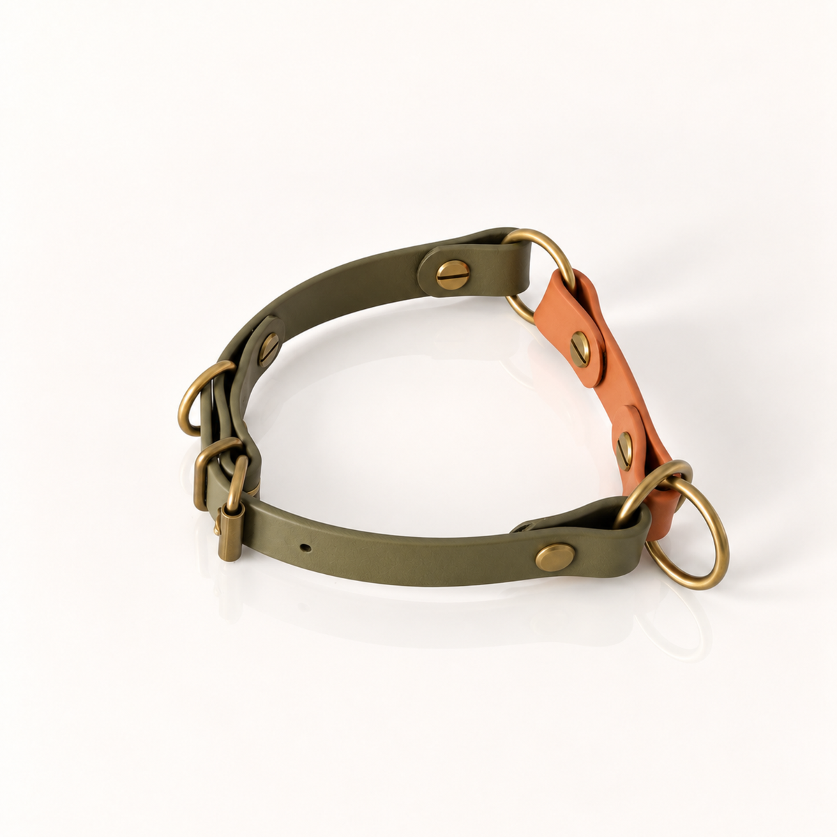 Forest: H.O.D.A. EDGE BioThane® martingale dog collar in Forest with Terra detail and antique brass hardware.