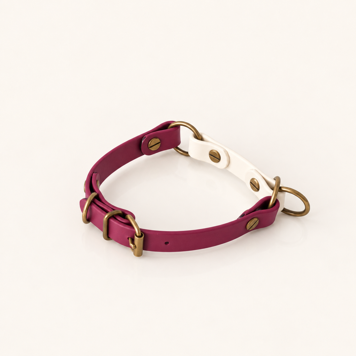 Levanto: H.O.D.A. EDGE BioThane® martingale dog collar in Levanto with off-white detail and antique brass hardware.