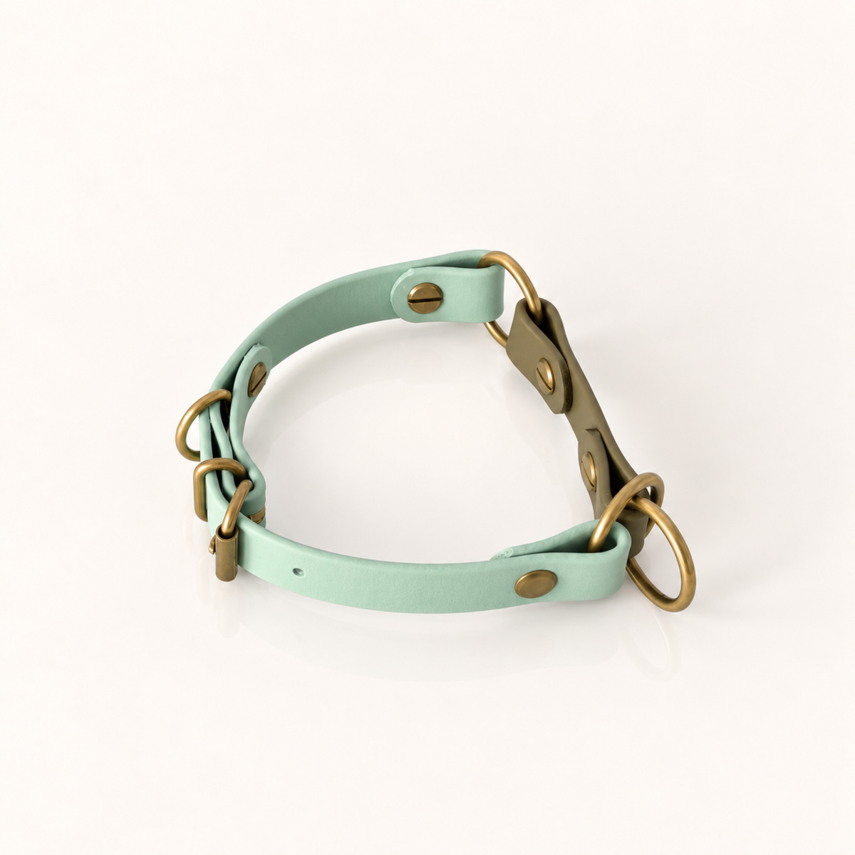 Sage: H.O.D.A. EDGE BioThane® martingale dog collar in Sage with olive detail and antique brass hardware.