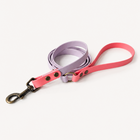 Dress Code, LEAD Leash