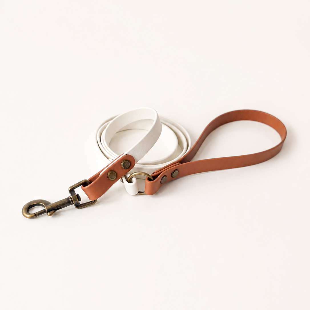 Dress Code, LEAD Leash